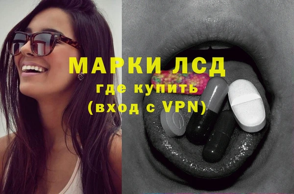 PSILOCYBIN Тутаев