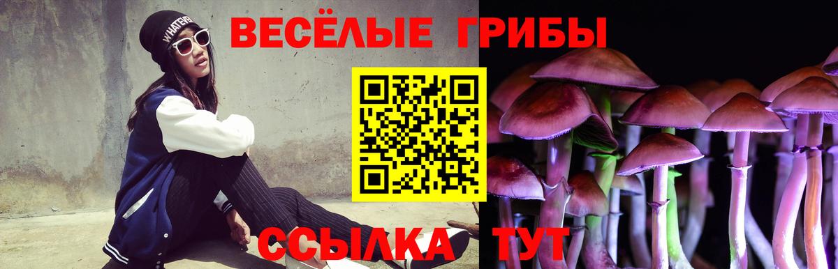 Псилоцибиновые грибы мухоморы  Галлюциногенные грибы Magic Shrooms  Отрадный  Вход с VPN 