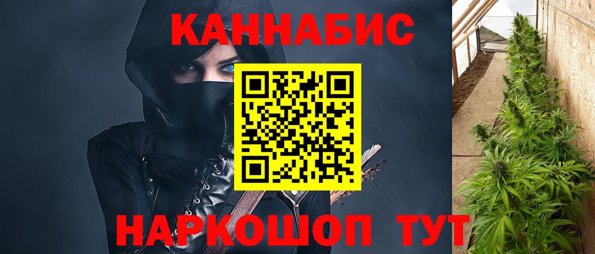 Шишки марихуана планчик  Бошки Шишки White Widow  Вход с VPN  Отрадный 